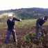 Stephen Valvano and Edwin Rutto till the ground. They are wearing their school uniforms.