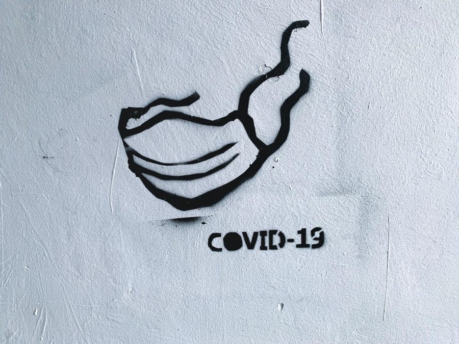 As the world grapples with the disease COVID-19 caused by the coronavirus, some are questioning what kind of society best looks after its own people.